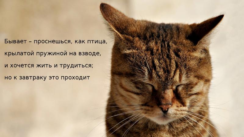 1CF2494D-41A0-4669-94BD-ECE6282FE091.jpeg