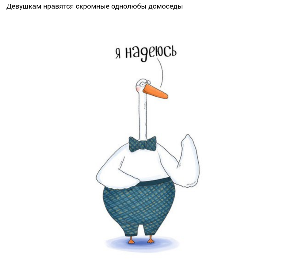 goose.png