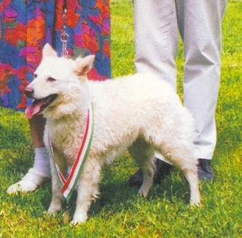 dadus2002.jpg