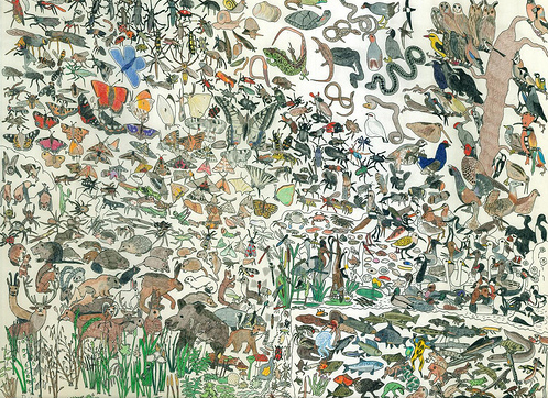 David_Barth__Animals.jpg