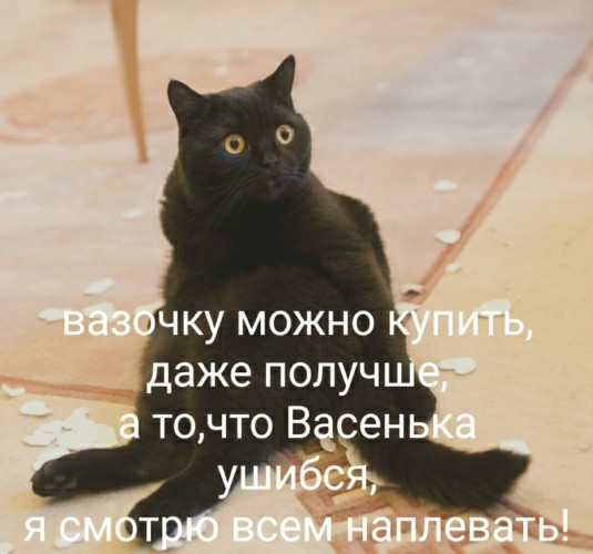 14895440.jpg
