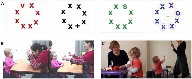Gliga_VisSearch_fig.-1.png