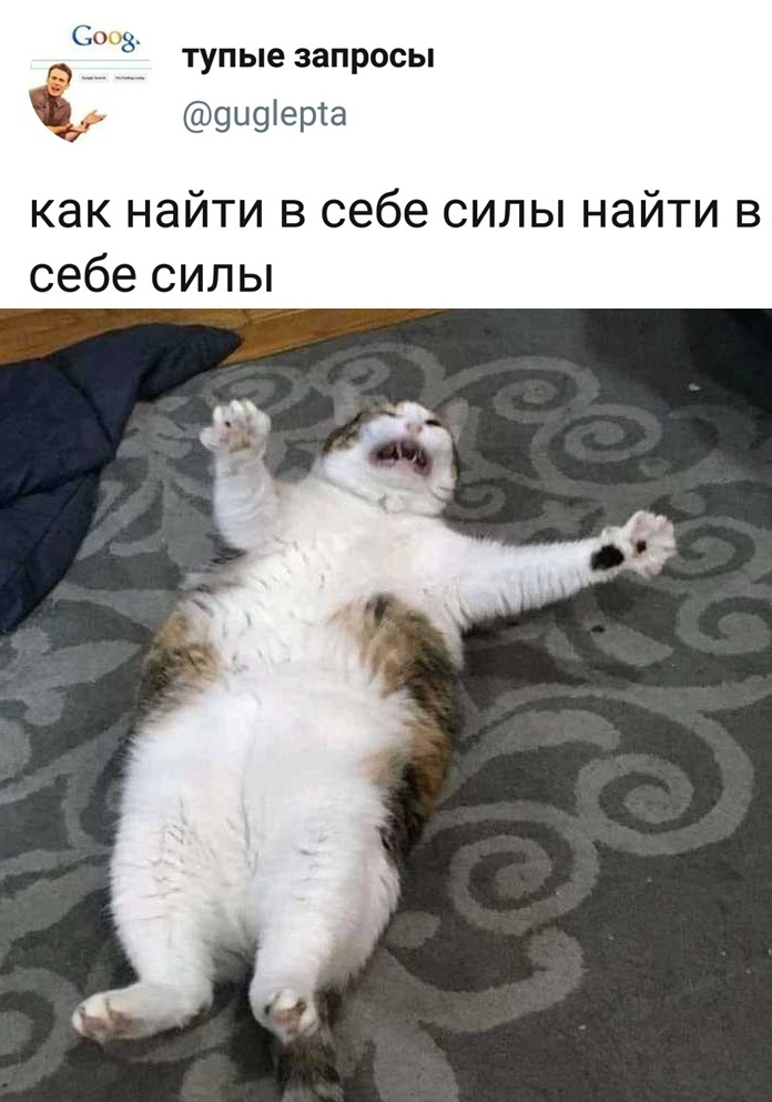 IMG_8714.png